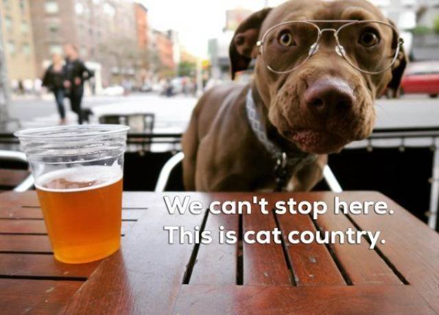 Bildschirmarbeiter - Picdump 28.04.2017