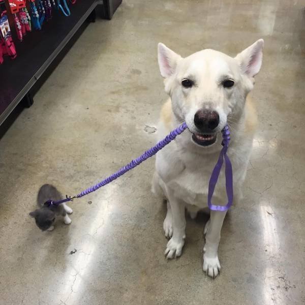 Bildschirmarbeiter - Picdump 28.04.2017