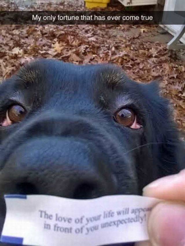 Bildschirmarbeiter - Picdump 28.04.2017