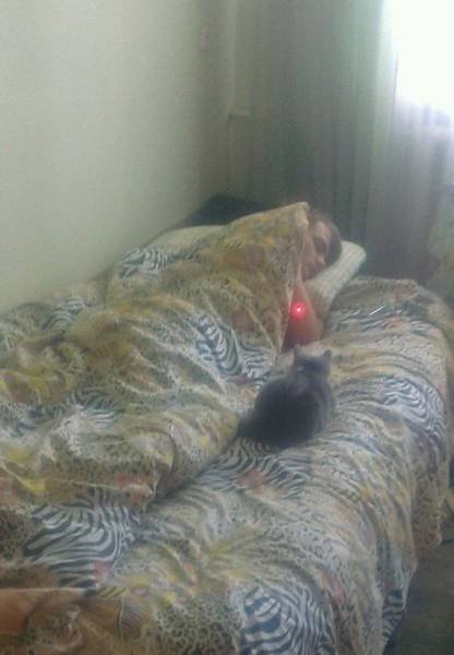 Bildschirmarbeiter - Picdump 28.04.2017