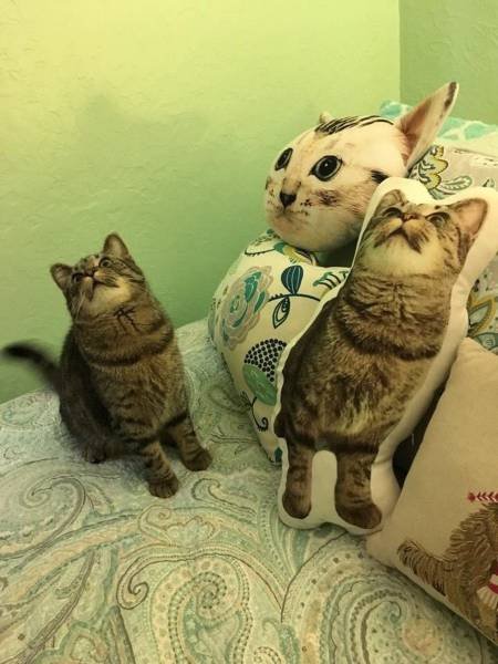 Bildschirmarbeiter - Picdump 28.04.2017