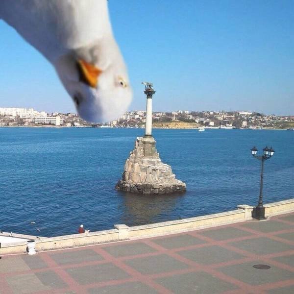 Bildschirmarbeiter - Picdump 28.04.2017