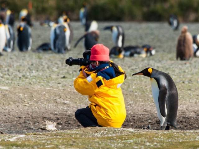 Bildschirmarbeiter - Picdump 28.04.2017