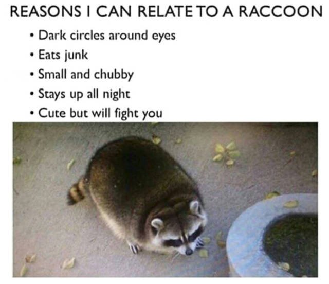 Bildschirmarbeiter - Picdump 28.04.2017