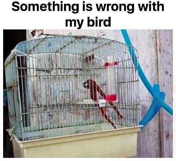 Bildschirmarbeiter - Picdump 28.04.2017