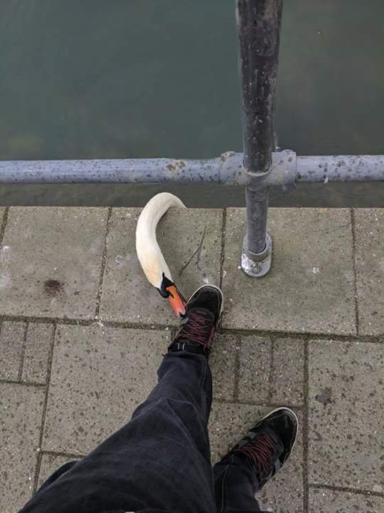 Bildschirmarbeiter - Picdump 05.05.2017