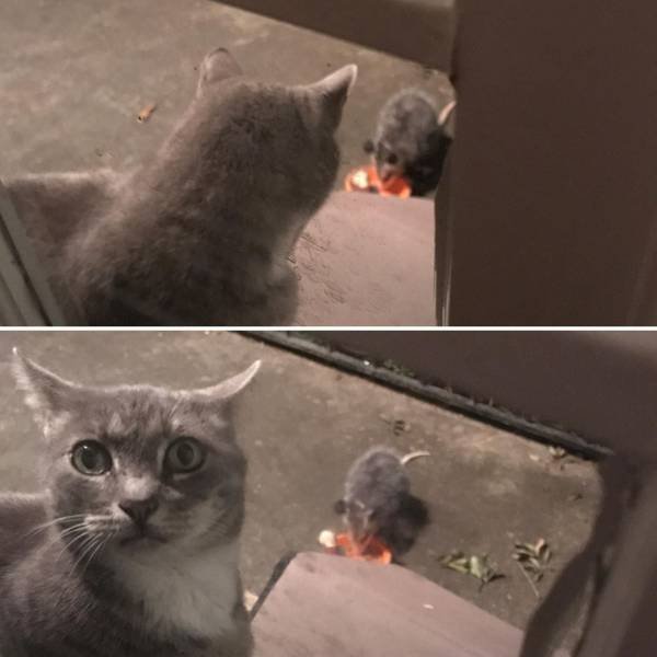 Bildschirmarbeiter - Picdump 05.05.2017