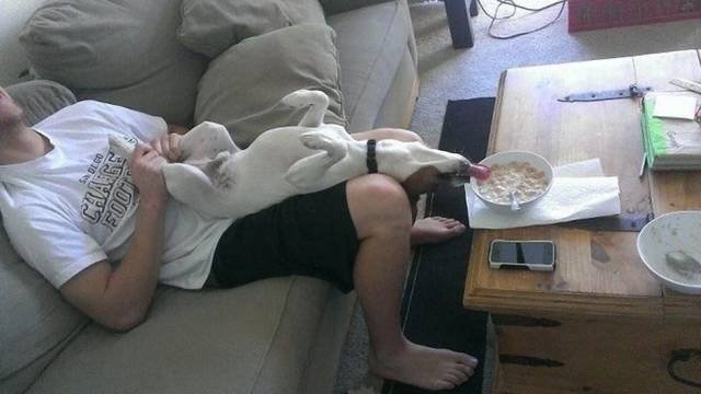 Bildschirmarbeiter - Picdump 05.05.2017