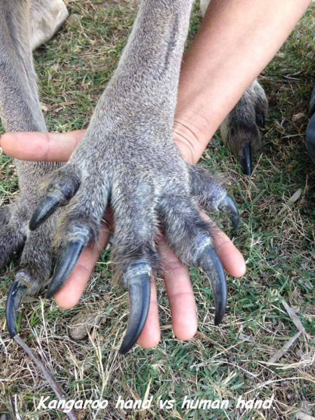 Bildschirmarbeiter - Picdump 05.05.2017