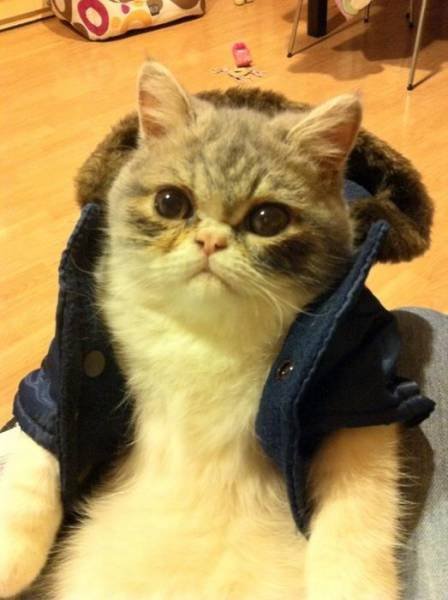 Bildschirmarbeiter - Picdump 05.05.2017