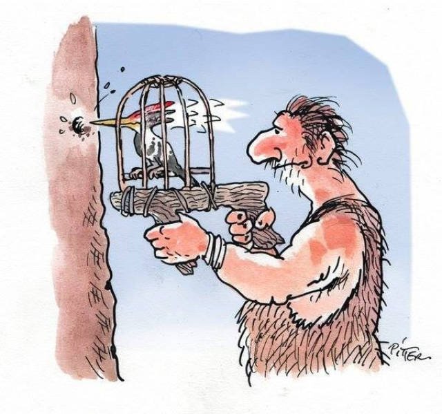 Bildschirmarbeiter - Picdump 05.05.2017