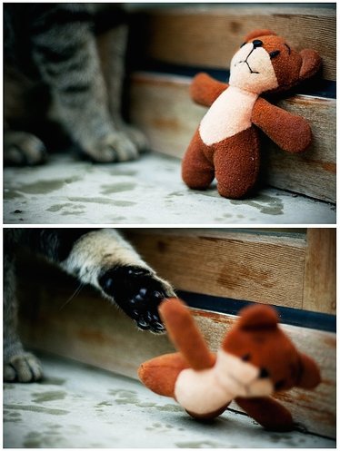 Bildschirmarbeiter - Picdump 05.05.2017