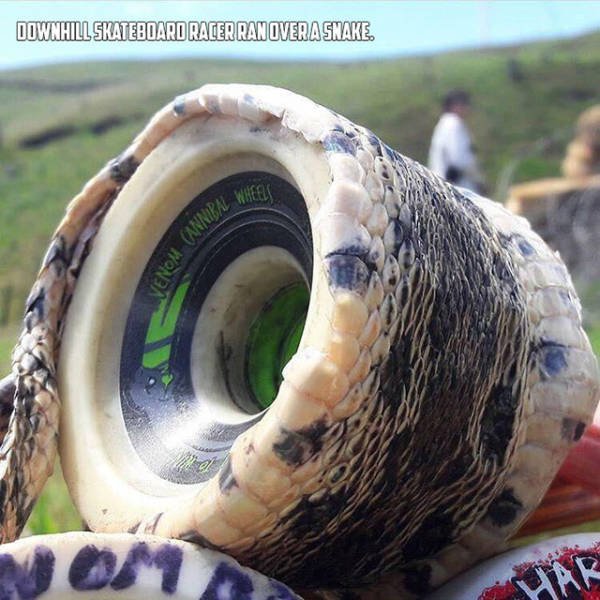 Bildschirmarbeiter - Picdump 05.05.2017