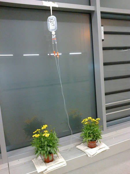 Bildschirmarbeiter - Picdump 05.05.2017