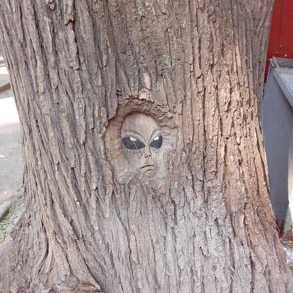 Bildschirmarbeiter - Picdump 05.05.2017