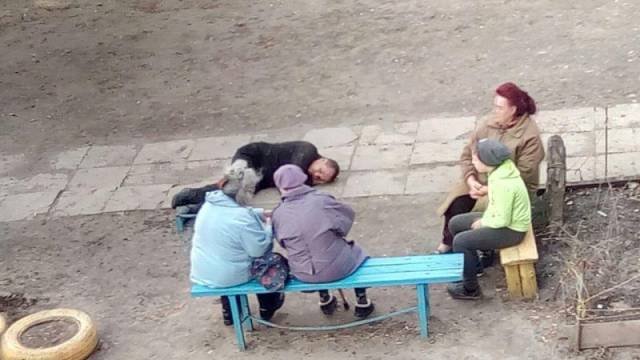 Bildschirmarbeiter - Picdump 05.05.2017