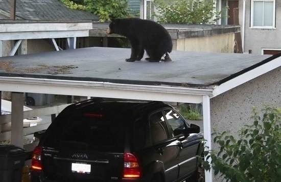 Bildschirmarbeiter - Picdump 05.05.2017