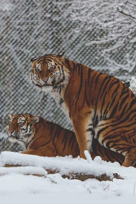 Bildschirmarbeiter - Picdump 05.05.2017