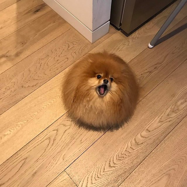 Bildschirmarbeiter - Picdump 05.05.2017