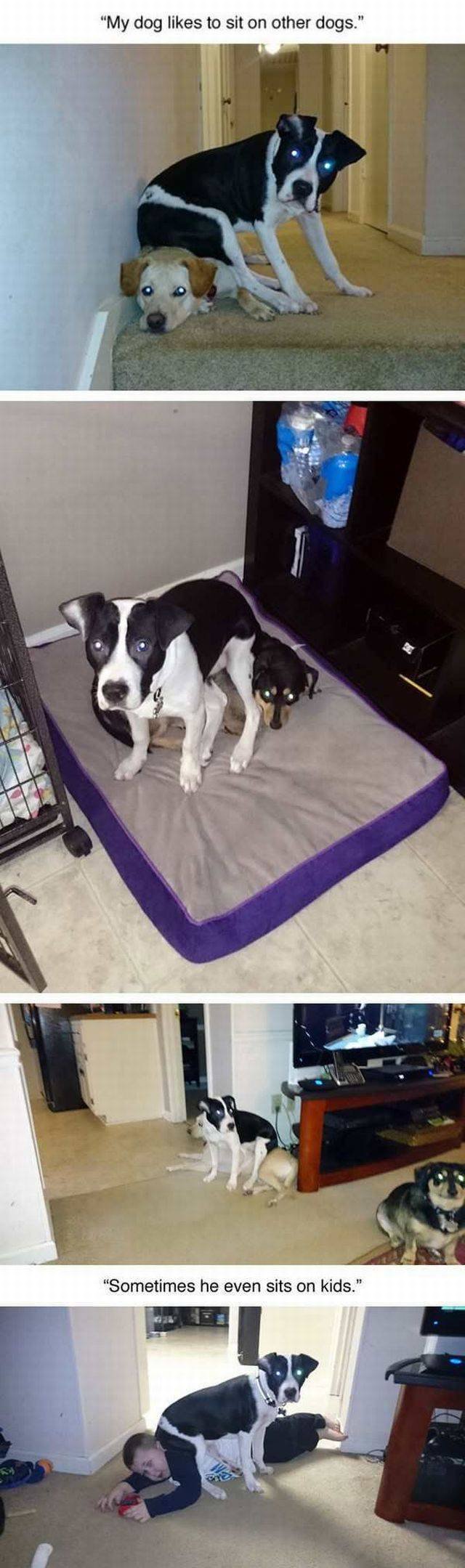 Bildschirmarbeiter - Picdump 15.05.2017