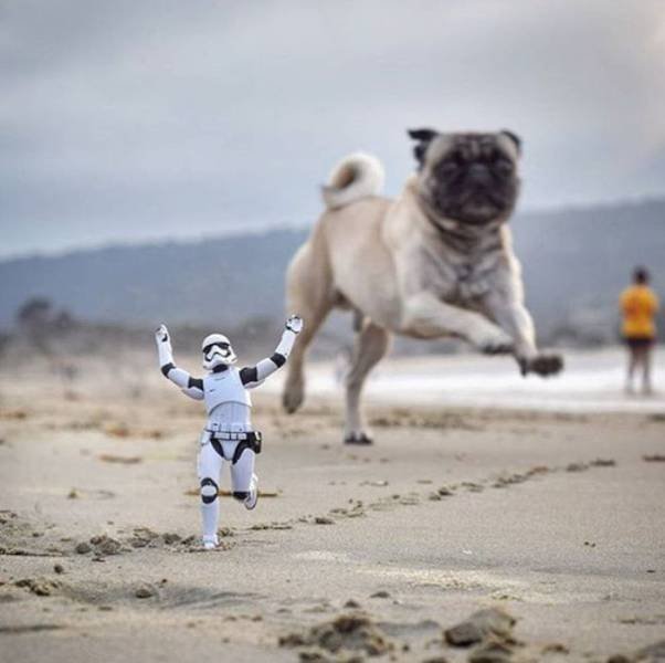 Bildschirmarbeiter - Picdump 15.05.2017