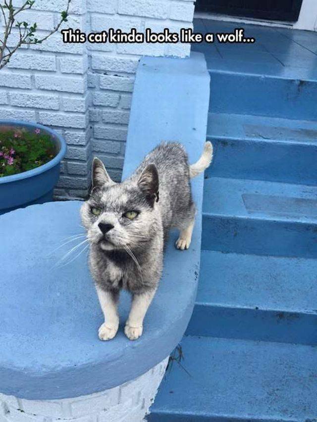 Bildschirmarbeiter - Picdump 15.05.2017