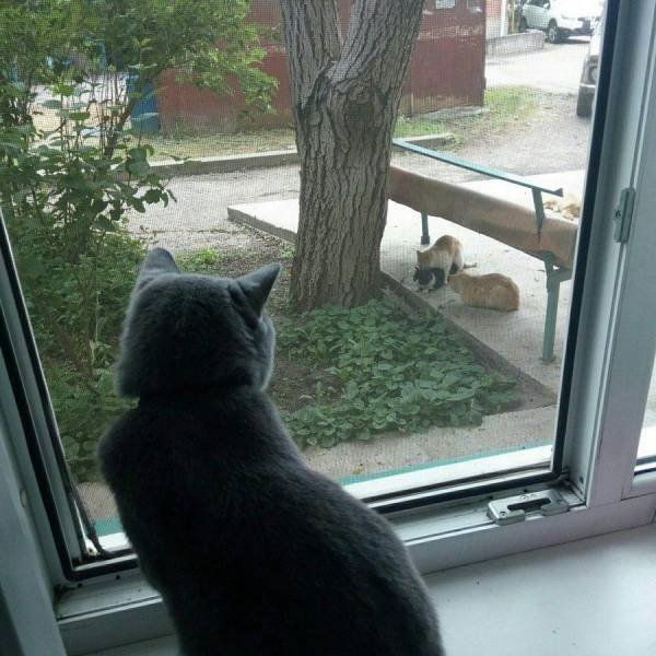 Bildschirmarbeiter - Picdump 15.05.2017