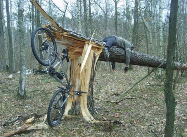 Bildschirmarbeiter - Picdump 15.05.2017