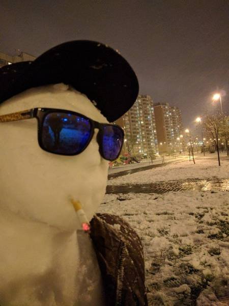 Bildschirmarbeiter - Picdump 15.05.2017