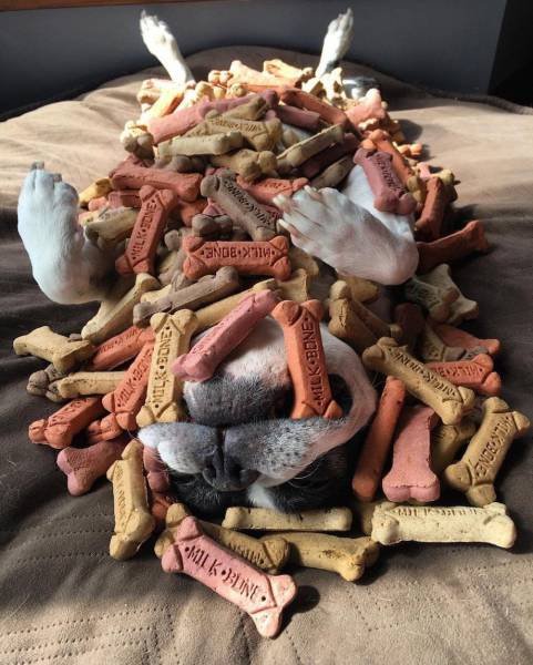 Bildschirmarbeiter - Picdump 15.05.2017