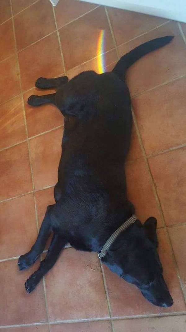 Bildschirmarbeiter - Picdump 15.05.2017