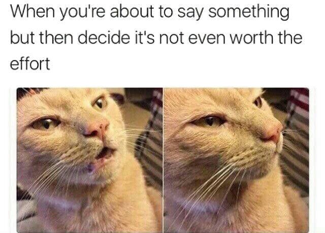 Bildschirmarbeiter - Picdump 15.05.2017