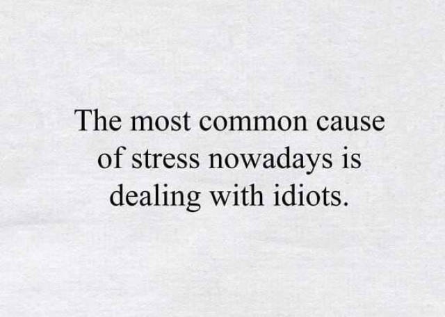 Bildschirmarbeiter - Picdump 15.05.2017