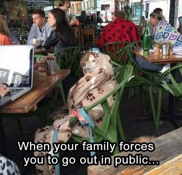 Bildschirmarbeiter - Picdump 15.05.2017