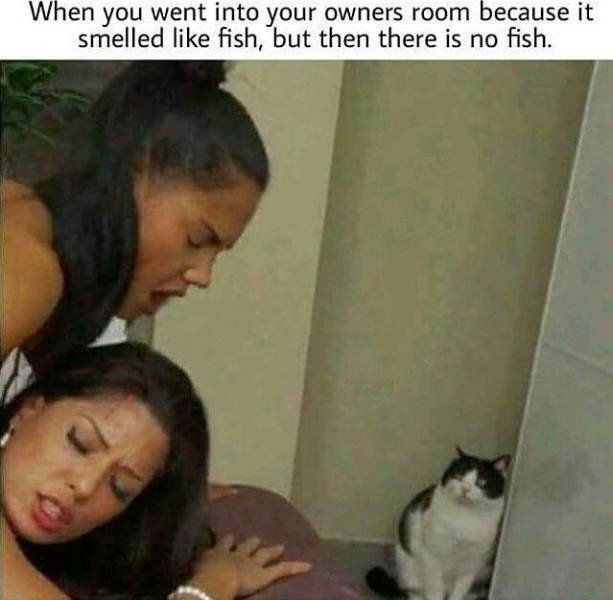 Bildschirmarbeiter - Picdump 15.05.2017