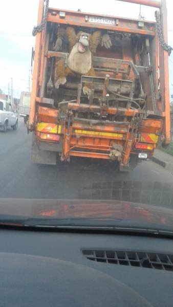 Bildschirmarbeiter - Picdump 15.05.2017