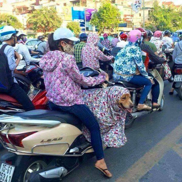 Bildschirmarbeiter - Picdump 15.05.2017