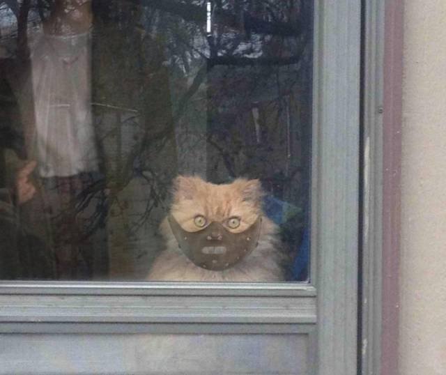 Bildschirmarbeiter - Picdump 15.05.2017