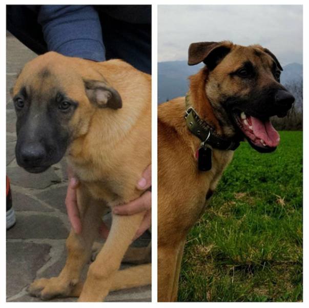 Bildschirmarbeiter - Picdump 15.05.2017