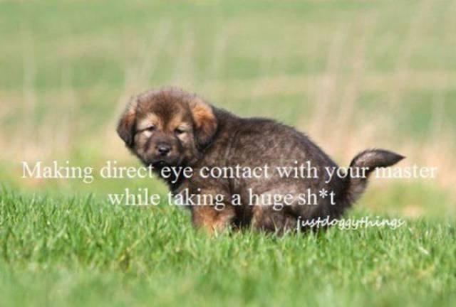 Bildschirmarbeiter - Picdump 15.05.2017