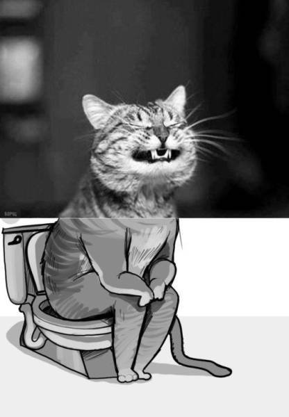 Bildschirmarbeiter - Picdump 02.06.2017