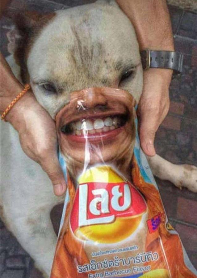 Bildschirmarbeiter - Picdump 02.06.2017