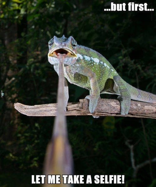 Bildschirmarbeiter - Picdump 02.06.2017