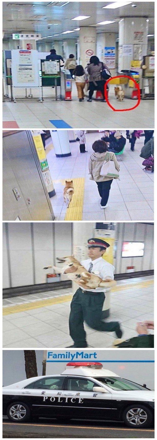 Bildschirmarbeiter - Picdump 02.06.2017