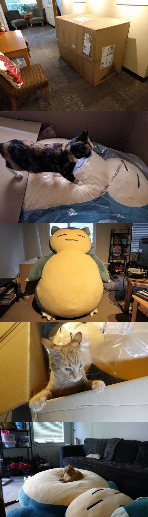 Bildschirmarbeiter - Picdump 02.06.2017