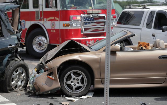 Bildschirmarbeiter - Picdump 02.06.2017