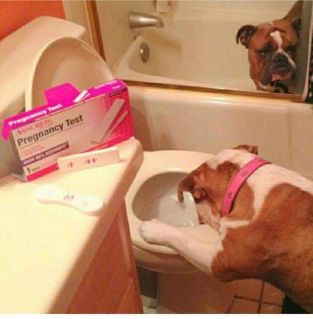 Bildschirmarbeiter - Picdump 09.06.2017