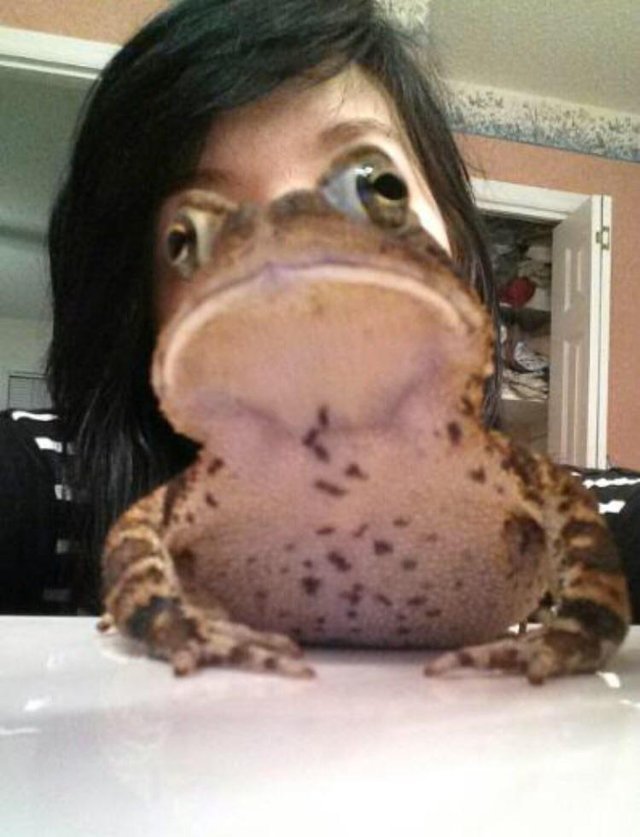 Bildschirmarbeiter - Picdump 09.06.2017