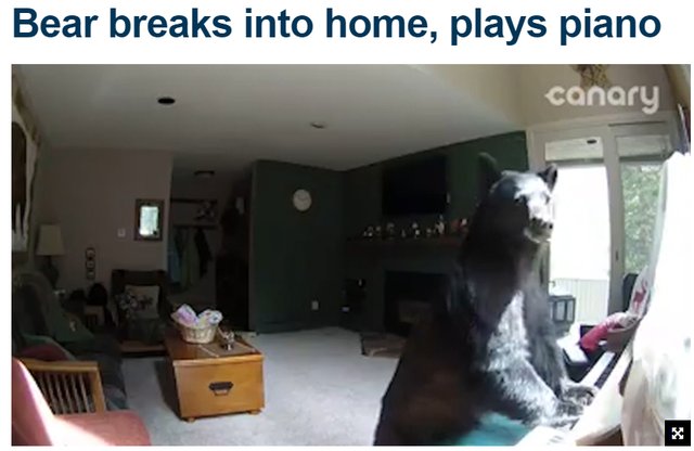 Bildschirmarbeiter - Picdump 09.06.2017