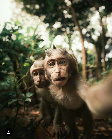 Bildschirmarbeiter - Picdump 09.06.2017